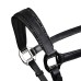 EQUESTRO usnjena oglavka SHINNY ANATOMIC EQUESTRO usnjena oglavka SHINNY ANATOMIC