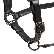 EQUESTRO usnjena oglavka SHINNY ANATOMIC