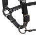 EQUESTRO usnjena oglavka SHINNY ANATOMIC EQUESTRO usnjena oglavka SHINNY ANATOMIC