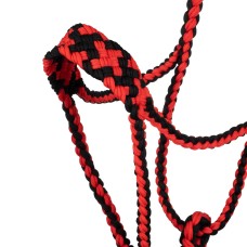 Pool's vrvična oglavka z nosnikom BLACK/RED