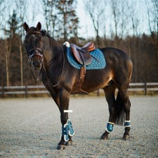 Prednji ščitniki HORZE CALIBER TENDON, LEGION BLUE
