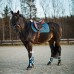 Prednji ščitniki HORZE CALIBER TENDON, LEGION BLUE