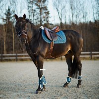 Zadnji ščitniki HORZE CALIBER TENDON, LEGION BLUE