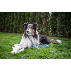 Nastavljiv povodec za psa COLORADO