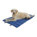Potovalna blazina Travel Mat Marie