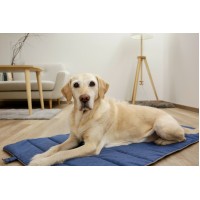 Potovalna blazina Travel Mat Marie