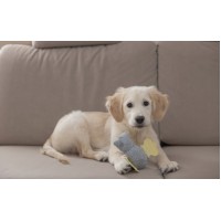 Igračka za pasje mladičke- Puppy toy