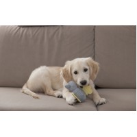 Igračka za pasje mladičke- Puppy toy