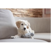 Igračka za pasje mladičke- Puppy toy